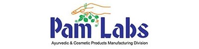Logo palm Logo palm
